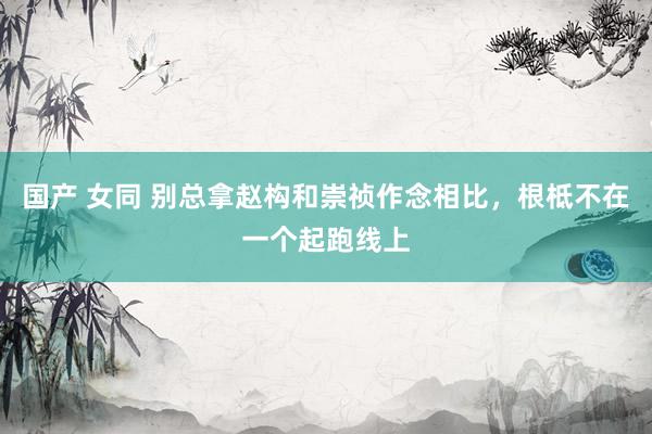 国产 女同 别总拿赵构和崇祯作念相比，根柢不在一个起跑线上