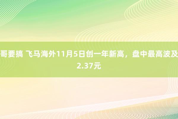哥要搞 飞马海外11月5日创一年新高，盘中最高波及2.37元