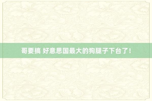 哥要搞 好意思国最大的狗腿子下台了！