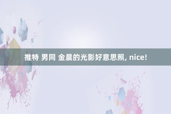 推特 男同 金晨的光影好意思照， nice!