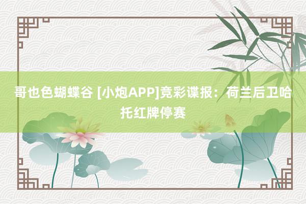 哥也色蝴蝶谷 [小炮APP]竞彩谍报：荷兰后卫哈托红牌停赛