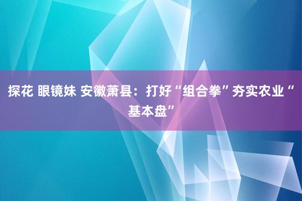 探花 眼镜妹 安徽萧县：打好“组合拳”夯实农业“基本盘”