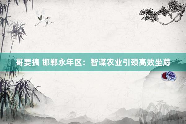 哥要搞 邯郸永年区：智谋农业引颈高效坐蓐