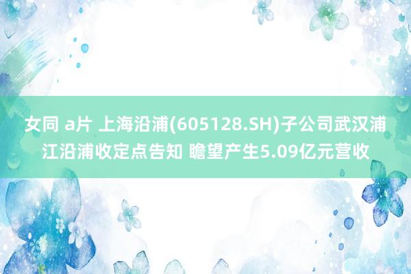 女同 a片 上海沿浦(605128.SH)子公司武汉浦江沿浦收定点告知 瞻望产生5.09亿元营收