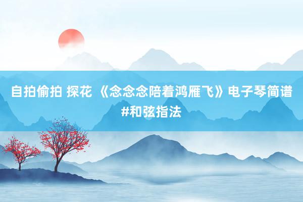 自拍偷拍 探花 《念念念陪着鸿雁飞》电子琴简谱#和弦指法