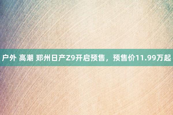 户外 高潮 郑州日产Z9开启预售，预售价11.99万起